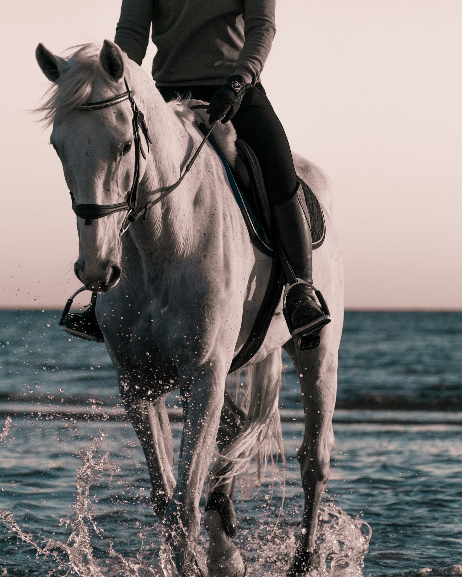 Top 10 Must-Have Riding Accessories
