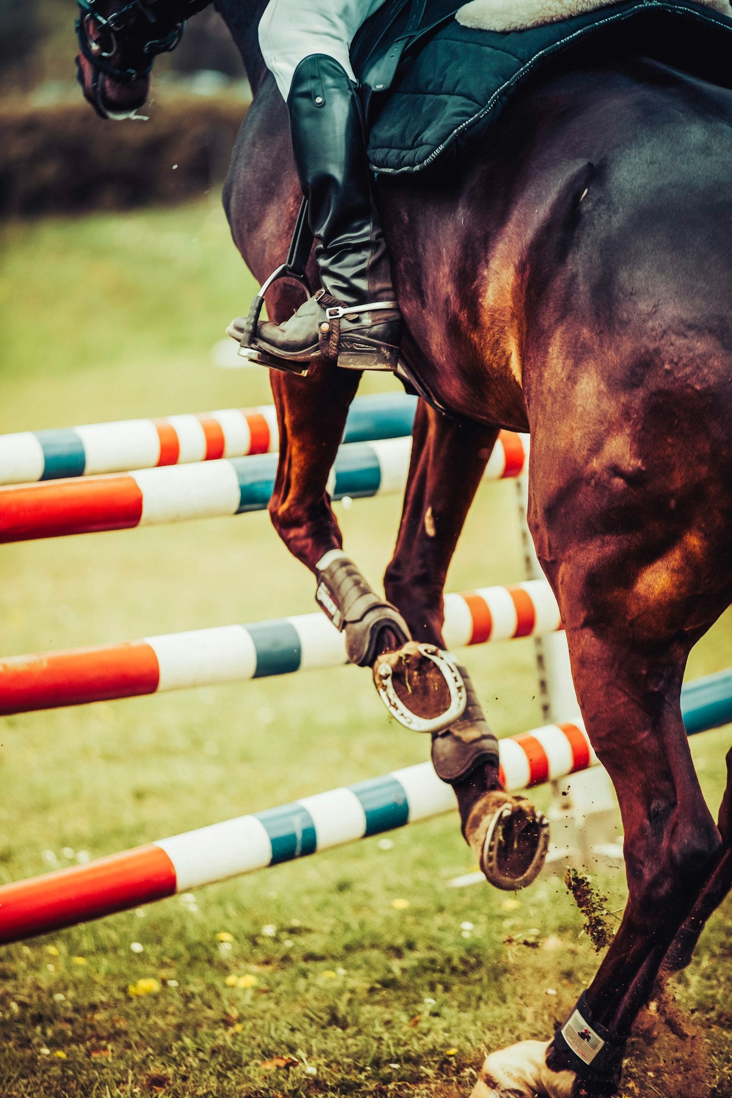 Worldwide Shipping: Bringing Gear to Riders Everywhere