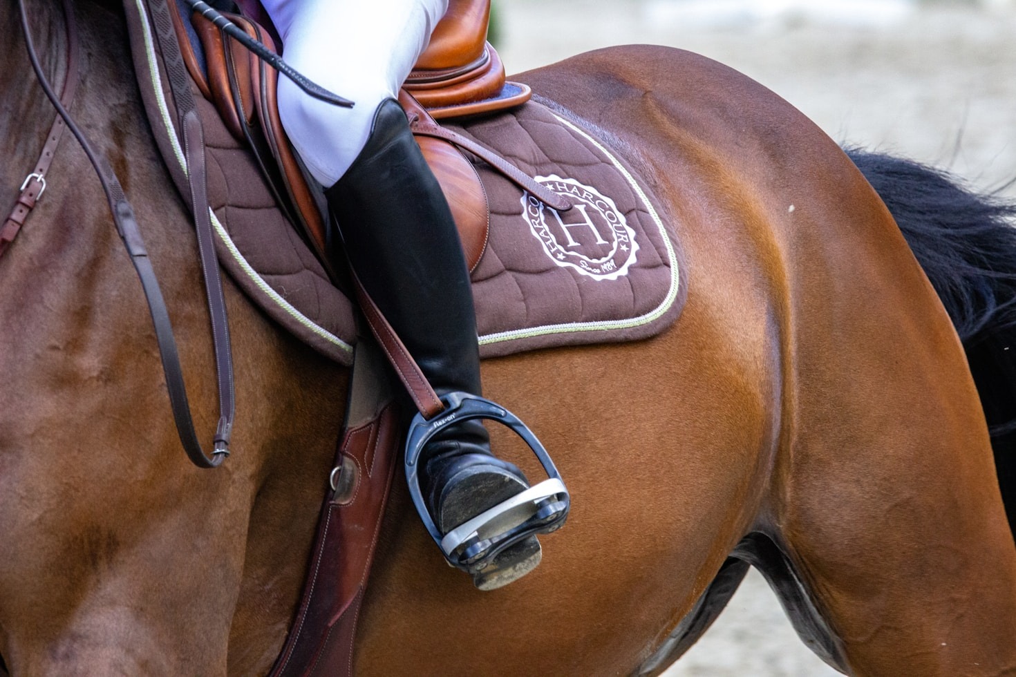 Equestrian Tips for Beginners and Advanced Riders